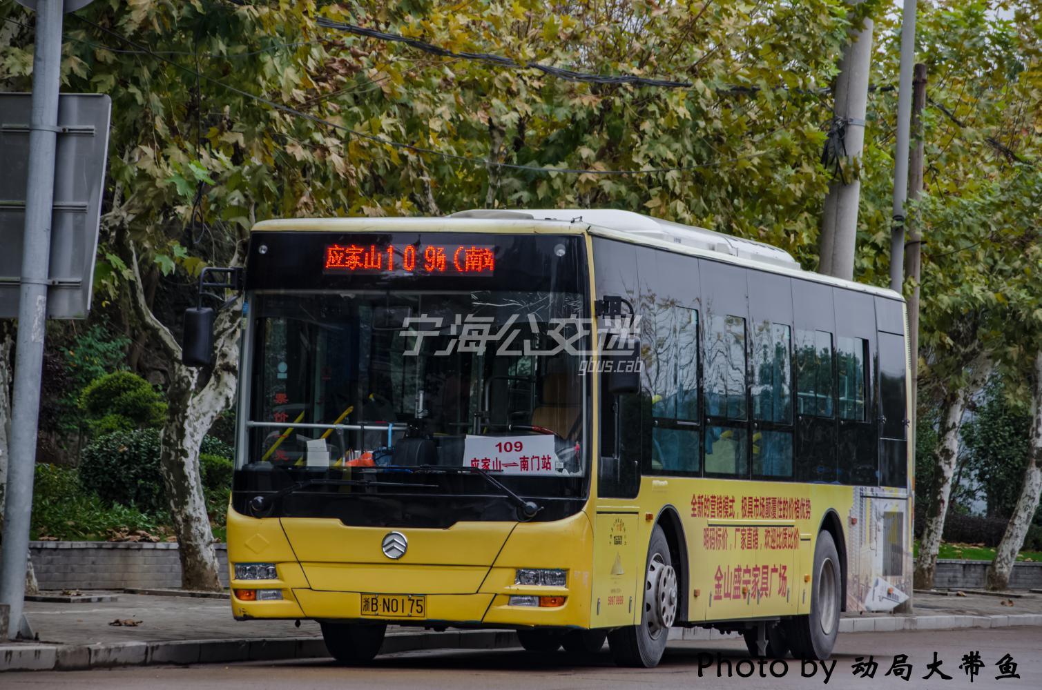 宁海109路 花山站 — 宁海南站