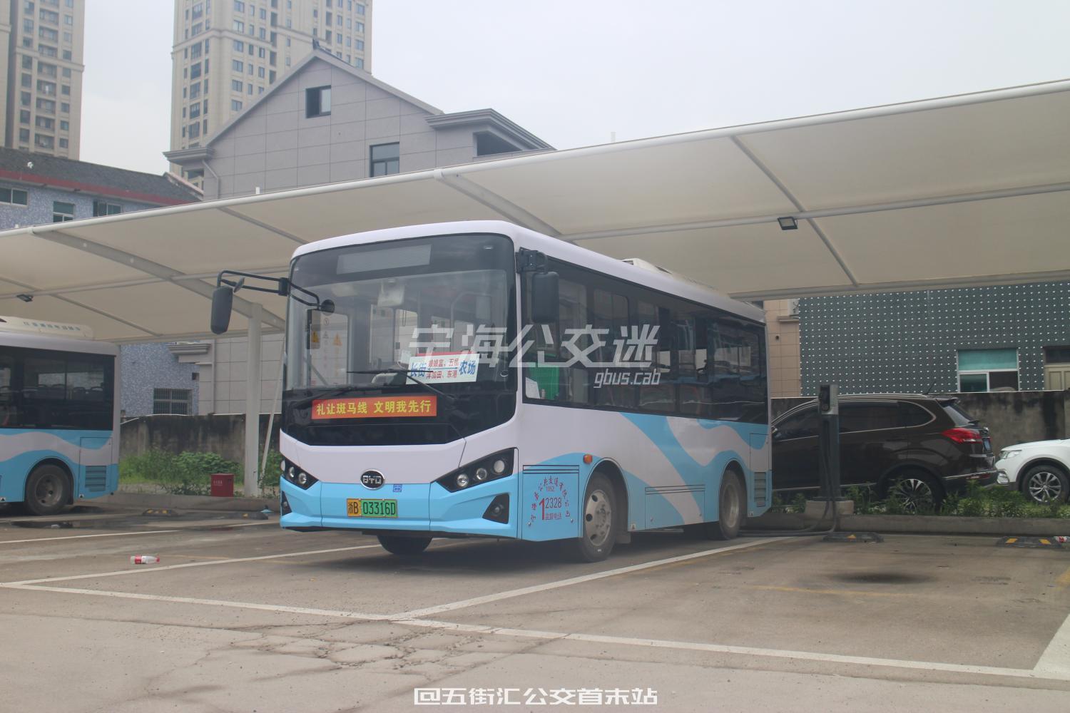 宁海212路 长街车站 — 农场