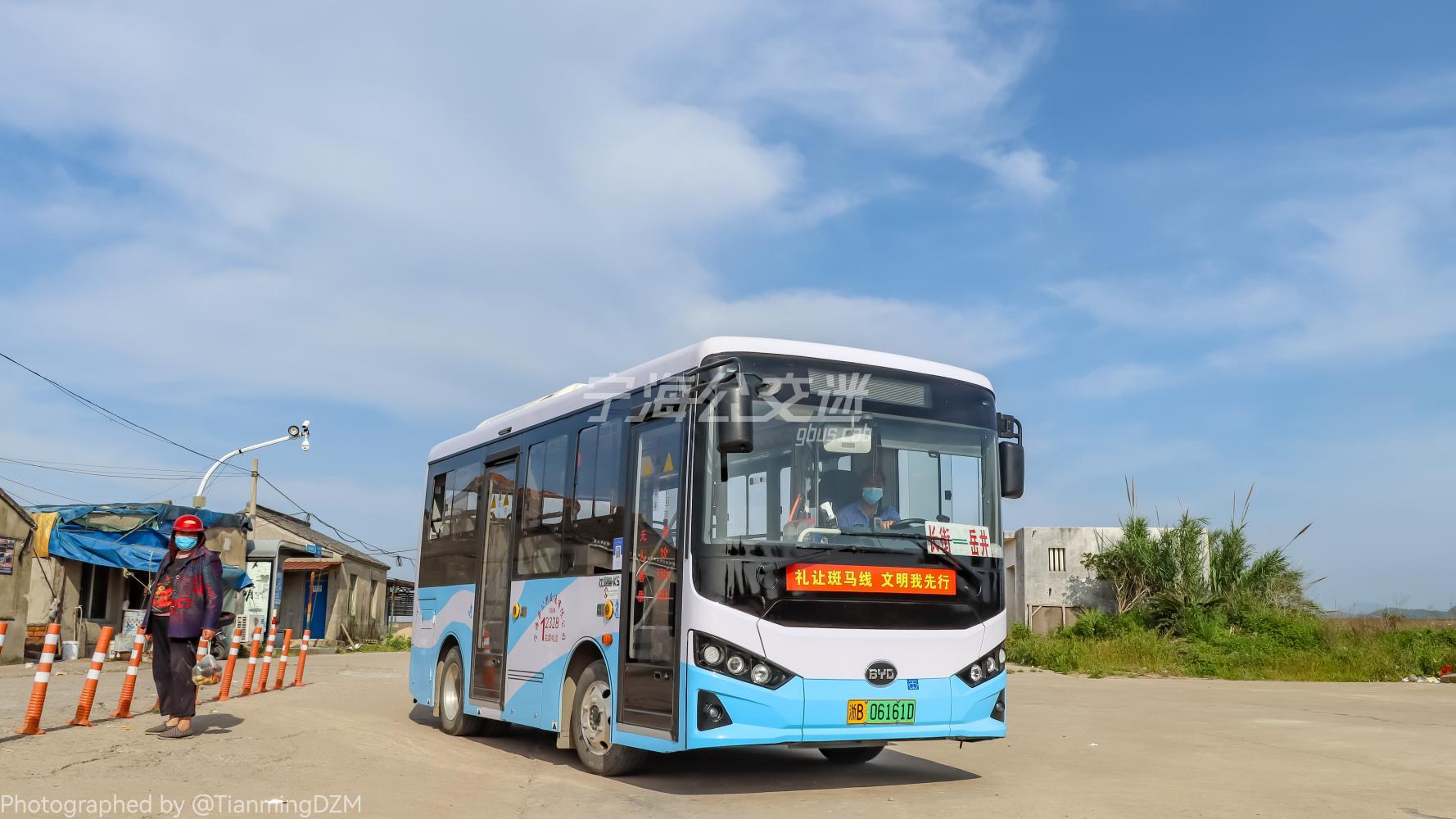 宁海202路 长街车站 — 岳井码头